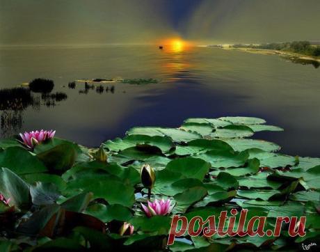 Мой Мир@Mail.Ru