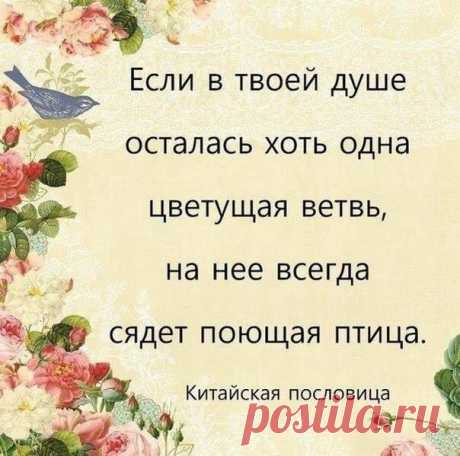Цветущая ветвь в душе