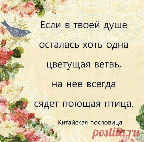 Цветущая ветвь в душе