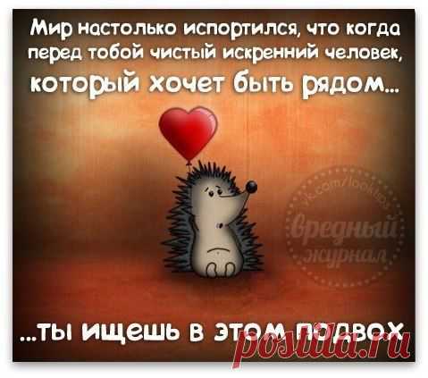Мои новости