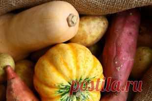 Чужестранцы. 4 продукта русской кухни, которые привезли из-за границы
