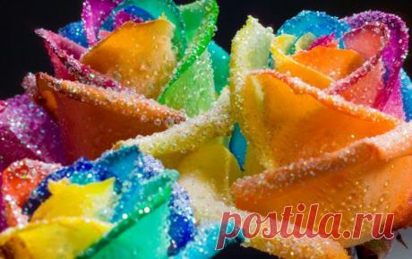 Радужные розы Питера Варкена!.