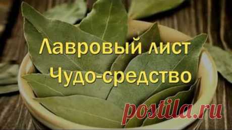 Лавровый лист народная медицина магические свойства лаврового листа