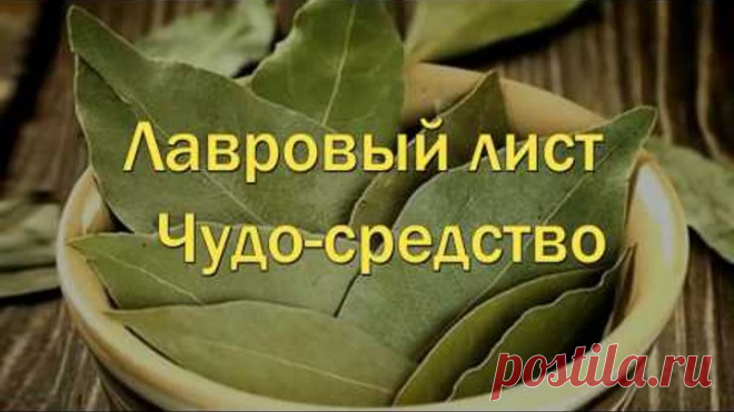 Лавровый лист народная медицина магические свойства лаврового листа