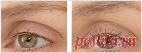 Масло-сыворотка для роста бровей и ресниц. Рецепт приготовления своими руками!