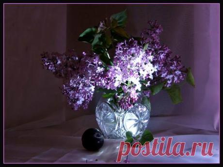 Натюрморт Сиреневый добрый вечер
