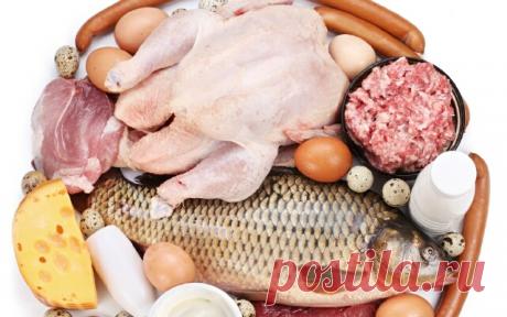 Меню белковой диеты для похудения