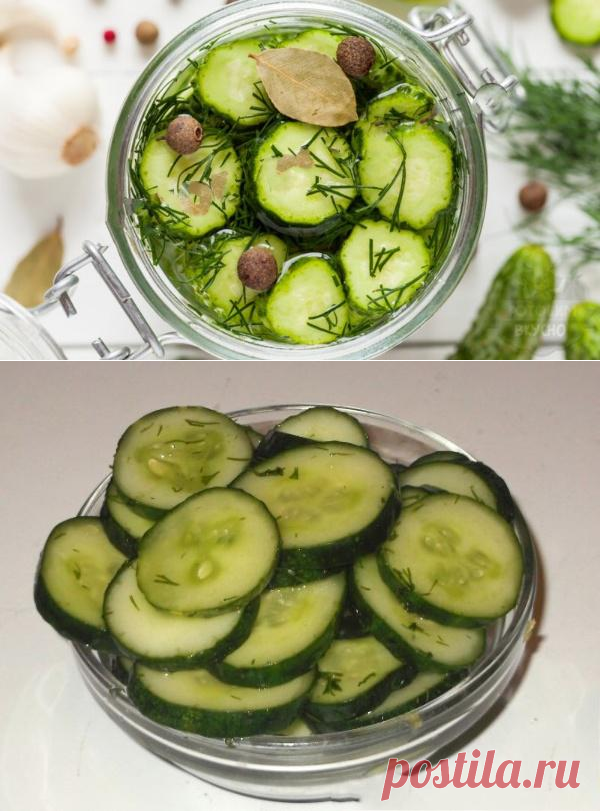 Самые хрустящие малосольные огурчики с укропом и чесночком. Действительно быстрый рецепт! - be1issimo.ru