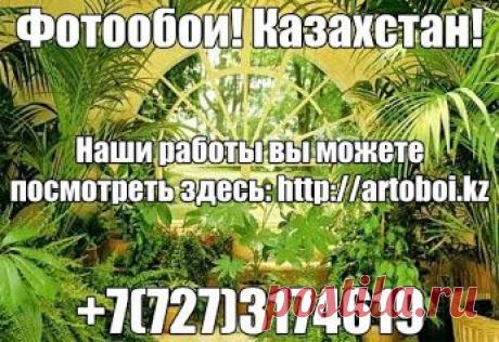 Оригинальное Решение для Ваших стен! Стильные Фото обои с Любым изображением или Вашей фотографией от «Art Millenium». https://artoboi.kz
+7(727)3174619
87019441564
87019441820