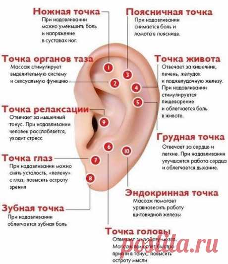 Запись на стене Оказывается, что на ухе сосредоточено много точек, которые отвечают за различные функции. На заметку!