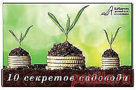 Айрат Багавиев добавил новый пост - babenko-nastya@mail.ru - Почта Mail.Ru
