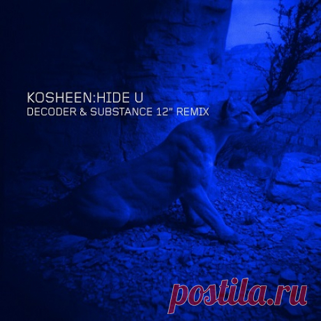 Download Kosheen - Hide U (Decoder & Substance 12" Remix) Artist: Kosheen Title: Hide U (Decoder & Substance 12" Remix) Label: Moksha Recordings Catalog: Released: 06.02.2025 Type: Single Genre: Electronic, Drum & Bass, Lossless
