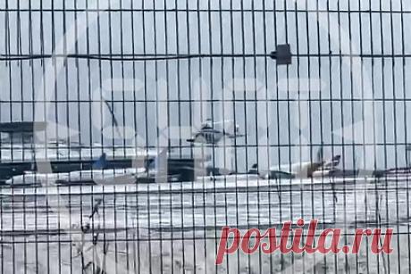 Стала известна причина жесткой посадки вертолета Ми-8 во Внуково. Вертолет Ми-8 во Внуково раскрутило перед взлетом — это стало причиной жесткой посадки борта. Причину ЧП в пятницу, 27 января, сообщили в управделами президента России, пишет Telegram-канал Shot. По их данным, из-за произошедшего вертолет не успел оторваться от земли. Воздушное судно зацепило лопастями землю.