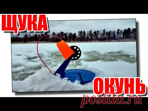 Ловим щуку на жерлицы, а окуня на мотыля зимой! #щуканажерлицы​