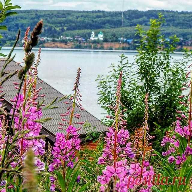 Иван - чай цветет, лето продолжается!

#пермь#река#чусовая#церковь#кипрей#природа#natureofrussia#июльуже#etonashural#широкастранамояродная#rus_photos#мояроссия#river#иванчай#photo_russia#русскаякрасота#loves_russia#русскаяглубинка#russiamylove#фотодляроссии#fotorussia#russiaonline#perm_online#krasivaru#nature_russia#walk_on_russia#landscape_russia#po_strane
