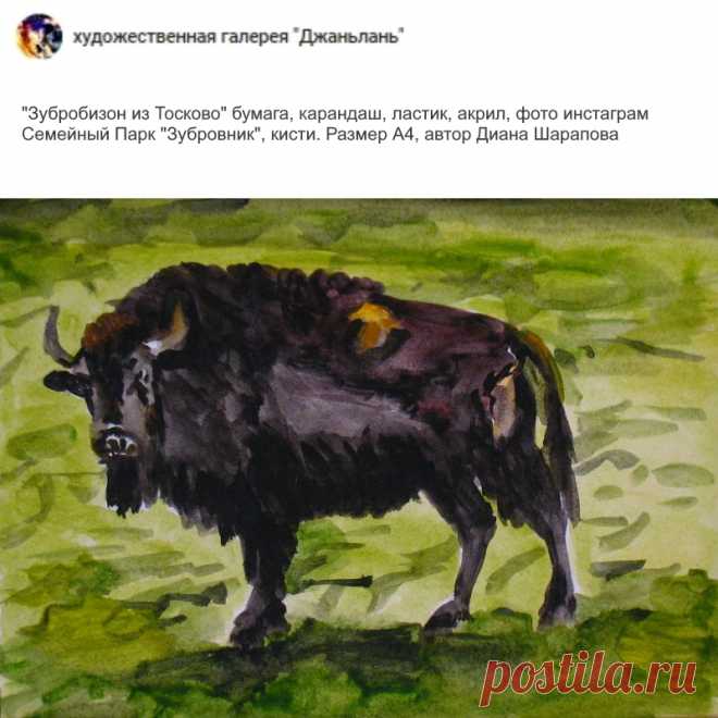 радел "зубробизоны"