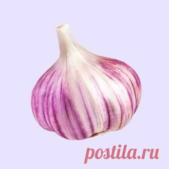 Неприятное с бесполезным: 10 аргументов, почему народная медицина опасна От каких традиционных методов «лечения» лучше держаться подальше ПРИВЯЗАННОСТЬ К НАРОДНОЙ МЕДИЦИНЕ ПСИХОЛОГИЧЕСКИ МОЖНО ПОНЯТЬ: у человека возникает ощущение, что он делает что-то полезное, особенно когда официальных лекарств (как, например, для лечения простуды) не существует...