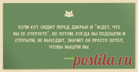 Анекдоты про котов и кошек;))