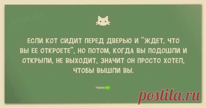 Анекдоты про котов и кошек;))