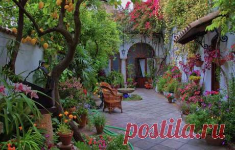 patios cordobeses interiores bonitos - Buscar con Google