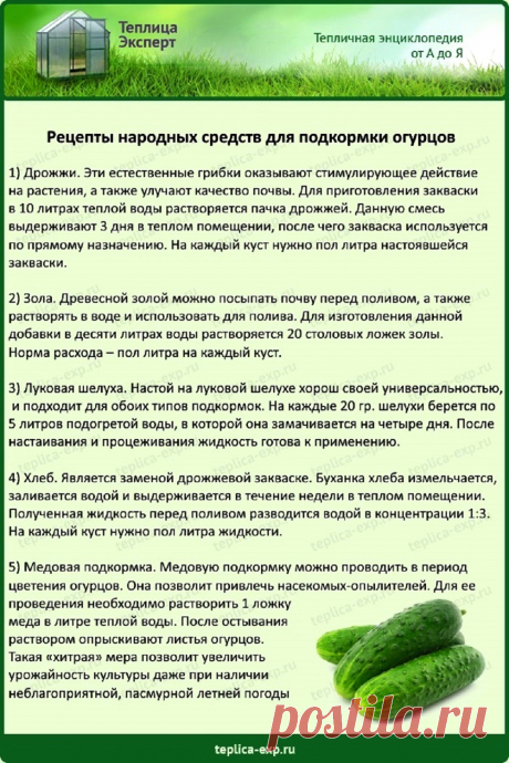 Рецепты народных средств для подкормки огурцов
 ПОДКОРМКИ ОВОЩЕЙ