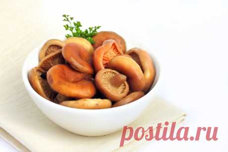 Солим на зиму грибочки 

Традиционно сентябрь — это «месяц охоты» для наших грибников. Деловитые и сдержанно довольные «охотники» несут из лесу полные лукошки и вёдра крепких боровичков или моховиков, нарядных подосиновиков…