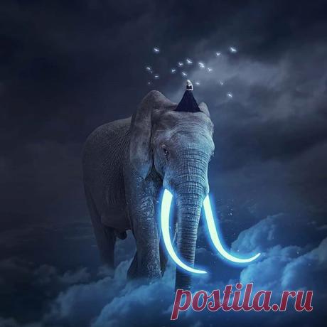 Esto es asombroso ! 🐘
... Imagen de @rafya88 📸
Sígue la cuenta para disfrutar de las imágenes más lindas y sorprendentes del mundo @imagenesporelmundo 🌐 Activa las notificaciones #imagenesporelmundo 🔔