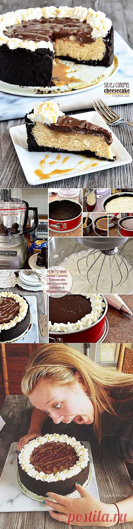 Salted Caramel Cheesecake Recipe | TidyMom