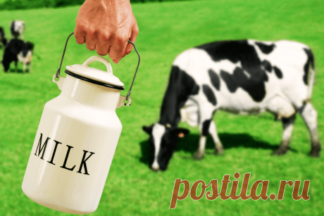 🔥 Исследователи утверждают, что коровье молоко более полезное и питательное, чем вегетарианские альтернативы
👉 Читать далее по ссылке: https://lindeal.com/research/issledovateli-utverzhdayut-chto-korove-moloko-bolee-poleznoe-i-pitatelnoe-chem-vegetarianskie-alternativy