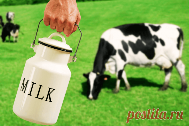 🔥 Исследователи утверждают, что коровье молоко более полезное и питательное, чем вегетарианские альтернативы
👉 Читать далее по ссылке: https://lindeal.com/research/issledovateli-utverzhdayut-chto-korove-moloko-bolee-poleznoe-i-pitatelnoe-chem-vegetarianskie-alternativy