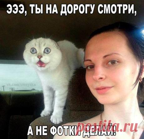 КЕКС