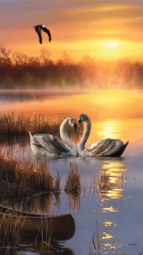 Decent Image Scraps: Nature