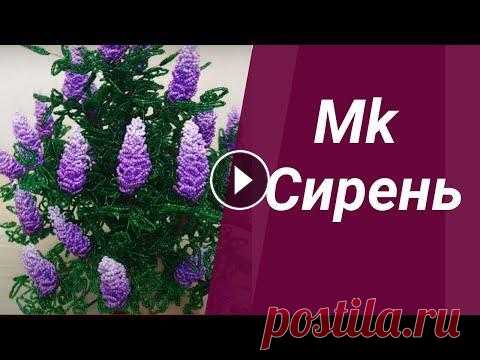 СИРЕНЬ ИЗ БИСЕРА своими руками ДЕРЕВО четырехцветная сирень МК // LILAC from BEADER  А4 ПОДРОБНЫЙ Мастер класс - Сирень из бисера своими руками - Сирень из бисера - Привет, меня зовут Виктория в этом видео мастер классе я покажу вам как с...
