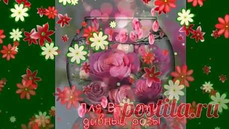 ЛЕТО! ПОЛЮБУЙСЯ ЕГО КРАСОТАМИ!