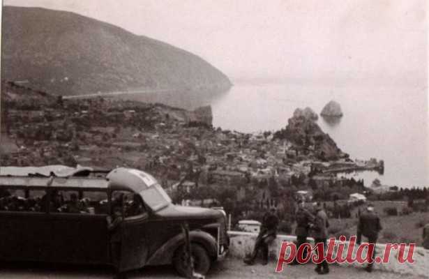 В июле 1941 года на совещании Гитлер говорил: «Крым должен быть освобожден от всех чужаков и заселен немцами». Приказ выполнялся с присущей немцам жестокостью. С самого начала оккупации было начато истребление жителей полуострова. Нацисты убивали всех, в том числе женщин, стариков и детей. Людей топили в море, расстреливали, убивали в газовых камерах, живыми бросали в глубокие колодцы.