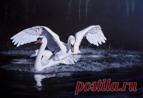 Zwanendans by Margriet de Bie on ARTwanted | Jacques Zuiderwijk приколол(а) это к доске Zwaan/Swan