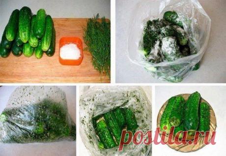 Лучшие кулинарные рецепты: Малосольные огурчики без рассола