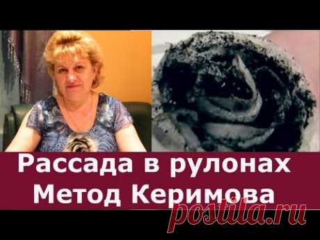 Метод Керимова! Посев семян в рулоны на рассаду. Метод самокрутки или рассада по-московски