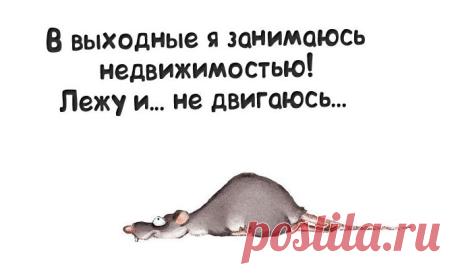 Фото Хроники - Фитнес для мозга