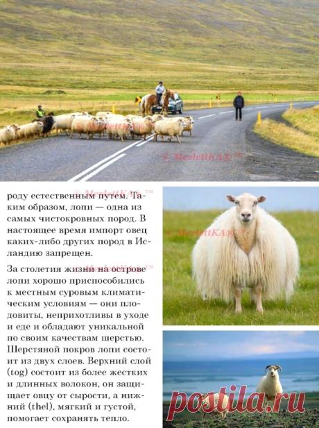 Как вязать лопапейсу ( Lopapeysa ) ☆ большая подборка с основами и образцами