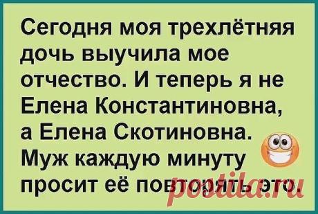 Недавно Сидоров видел, как Иванова за гаражами нравилась Петрову
От любви до ненависти одно проигнорированное сообщение.
Человек считается единственным существом, которое идёт спать, когда этого не хочет, и встает, если не выспался.
— Василий Иваныч! А смартфон …