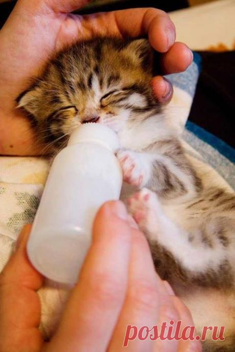 Ох,какой я голодный!!!