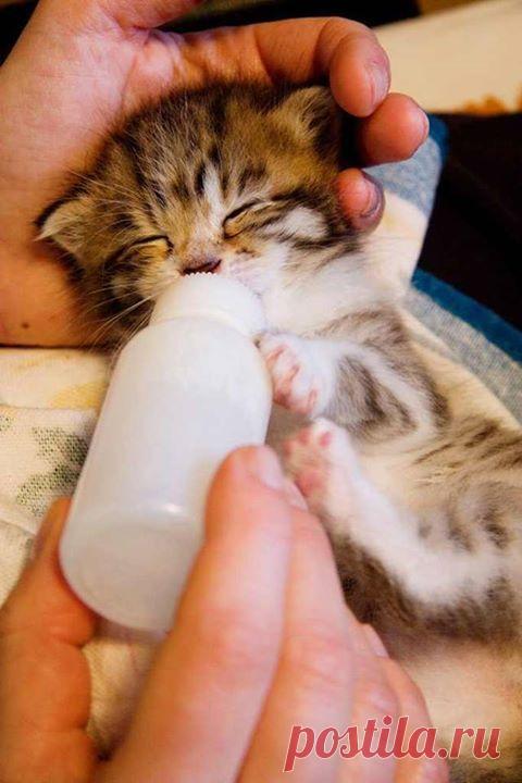 Ох,какой я голодный!!!