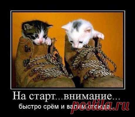 УРЖАТЬСЯ (16+)
Владислав Гладилов