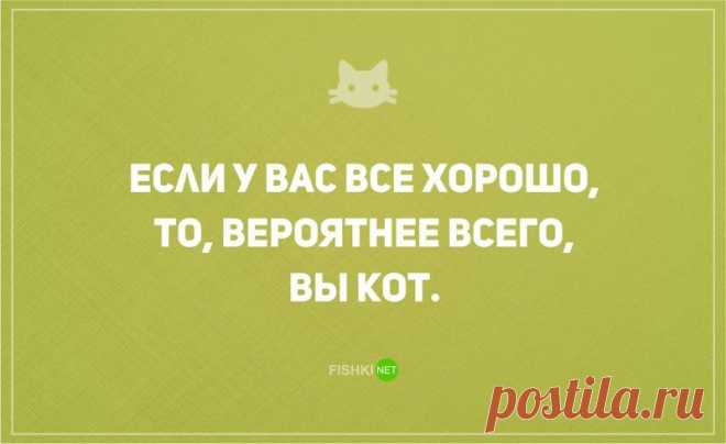 Без кота жизнь не та