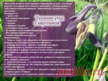 Рецепты - Тушеная утка с картошкой