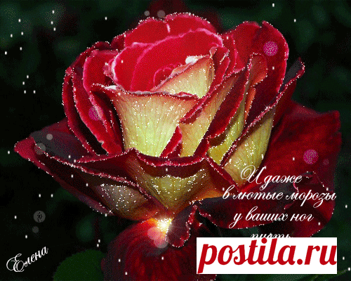 (38) Одноклассники