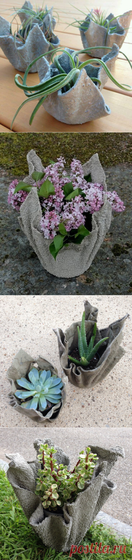 Jardinería de bricolaje | Macetas de cemento (Jardín)