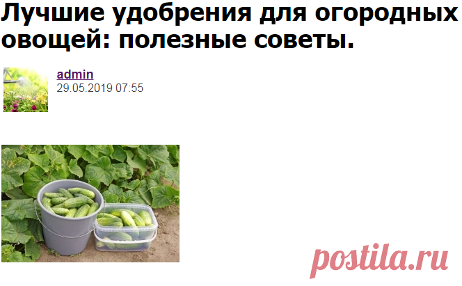 Лучшие удобрения для огородных овощей: полезные советы. - Садоводка