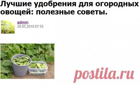 Лучшие удобрения для огородных овощей: полезные советы. - Садоводка